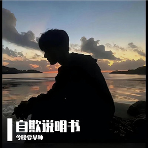 自欺说明书