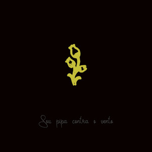 Sou Pipa Contra o Vento