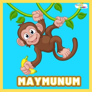 Minik Maymunum