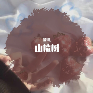 山楂树の恋_梦琪.