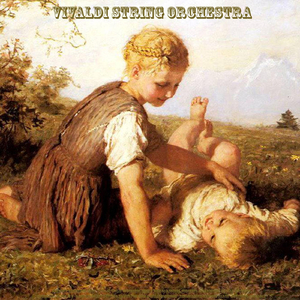 Cello Concerto in C Minor, No. 1, Rv 401: I. Allegro non molto