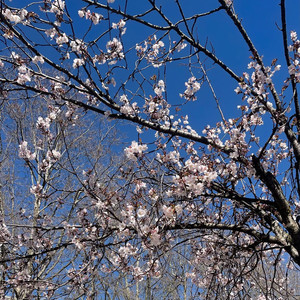 找到你了（cover.李可晴）