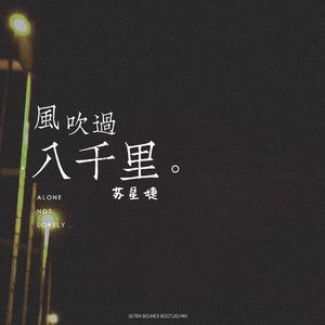 苏星婕 - 风吹过八千里（小博 SE7EN Bootleg）