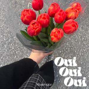 Oui