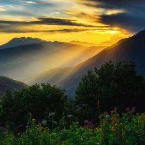 Old Money (Piano Version)