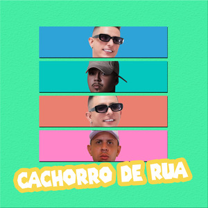 Cachorro de Rua