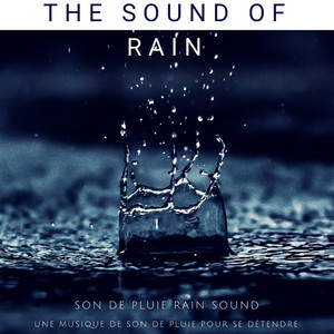 Son De Pluie Guérison (Une Musique De Son De Pluie Pour Se Détendre)