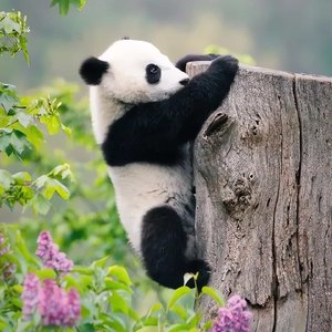 我是精神病但我很精神#百万奖金AI创作大赛+主题三