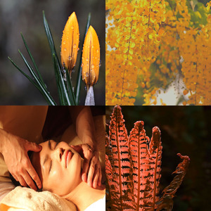 柔和的泰式按摩时刻