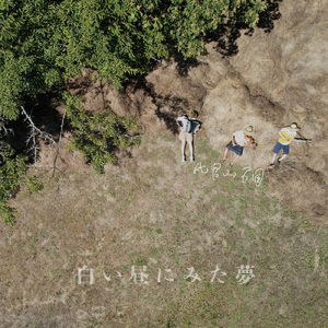 路地裏の月は街灯