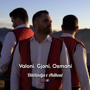 Ditëlindja e Atdheut (feat. Gjoni & Osmani)