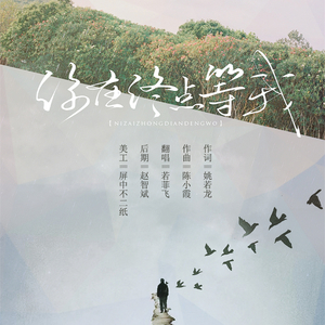 你在终点等我（Cover 王菲）