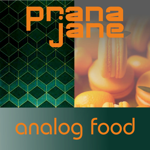 Analog Food (Dub Radio Edit)