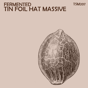 Fermented (Original Mix)