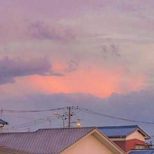 兔八哥(呆呆破)