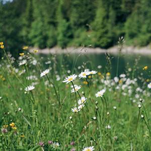 Kara Gözlerinde Yüreğim Yandı