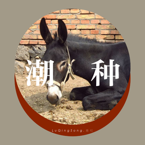 潮种（赤峰方言神曲）