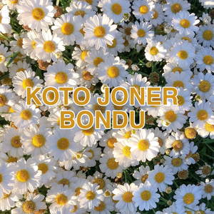 Koto Joner Bondu
