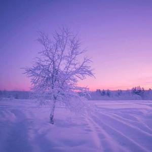 VERY NICE (feat. Naelxon)