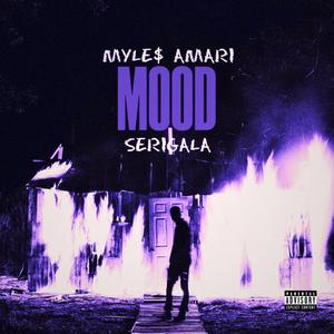 MOOD (feat. Myles Amari) (Clean Version)