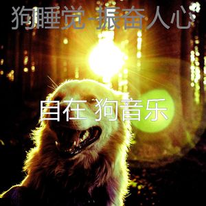 服从(训练你的狗)