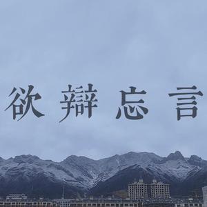 欲辩忘言