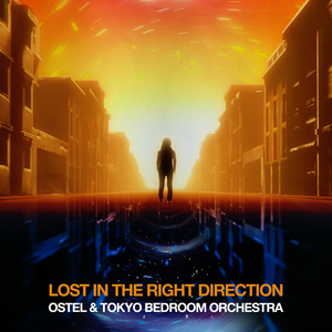 Lost In The Right Direction