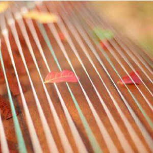 【古筝】Talk Love-说!什么?（Cover k.will）