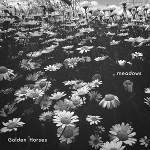meadows