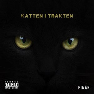 Katten i trakten