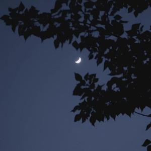 Sweater Weather(X0.85)