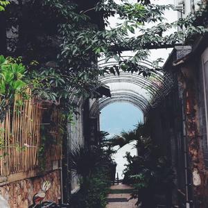 我们从平凡之路走来，不愿意说再见，愿在未来的路上找到你的答案(cover)