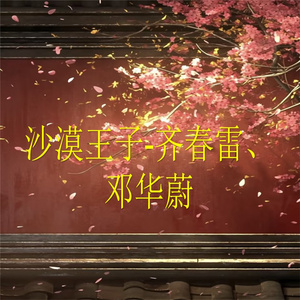 沙漠王子-13