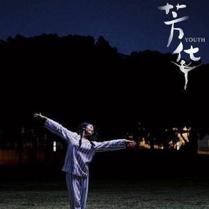 芳华叙事诗