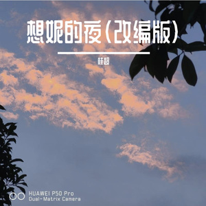 想妮的夜(改编版)