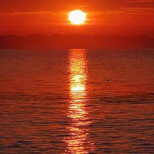 K I S S I N G-illuminati