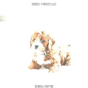 温和睡狗梦想
