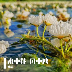 水中花 风中沙 伴奏