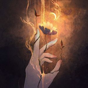 风吹散了写给银河的信