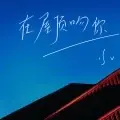 在屋顶吻你 (DJ版)