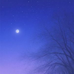 春泥护新芽