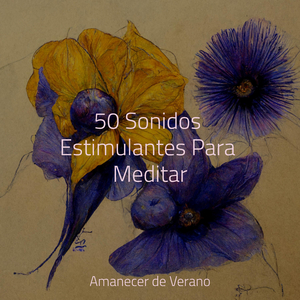 Ecos Nostálgicos Bajo las Estrellas