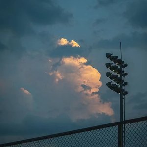 澳大利亚这一年