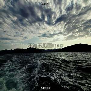 梁老师Tsong-不如不见面（51XING / CokEgOzy remix）