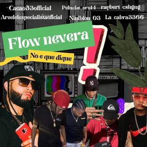 Flownevera (feat. Peluche_oro14, raybert_cshgng, areelespecialistaoficial, Niniblon_03 & la_cabra3366)