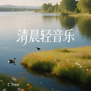 晨雾渐散|清晨轻音乐