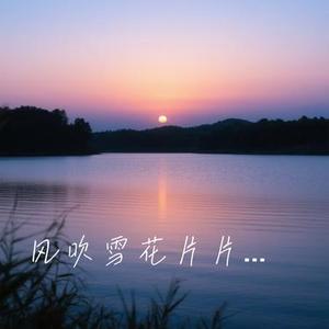 风吹雪花片片落 (Cover 洋澜一)