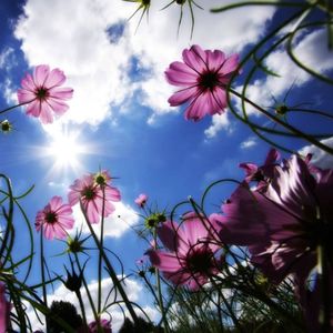 回不去的时光之叹