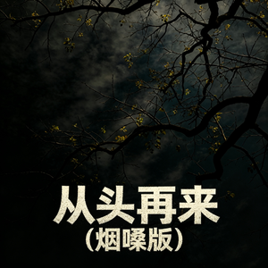 从头再来(烟嗓版)
