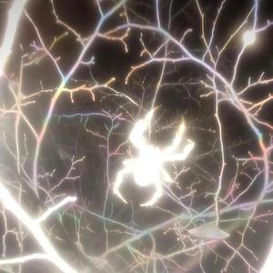 BLASTED! (feat. ALI)